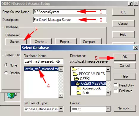 ms access select database