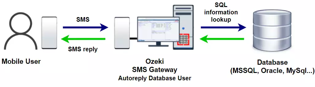 how does ozeki sms gateways autoreply database user work
