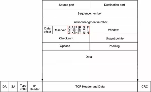 tcp header and data encapsulated in the ip data field