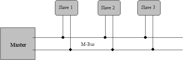 m bus structure