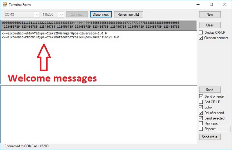 after connection welcome message